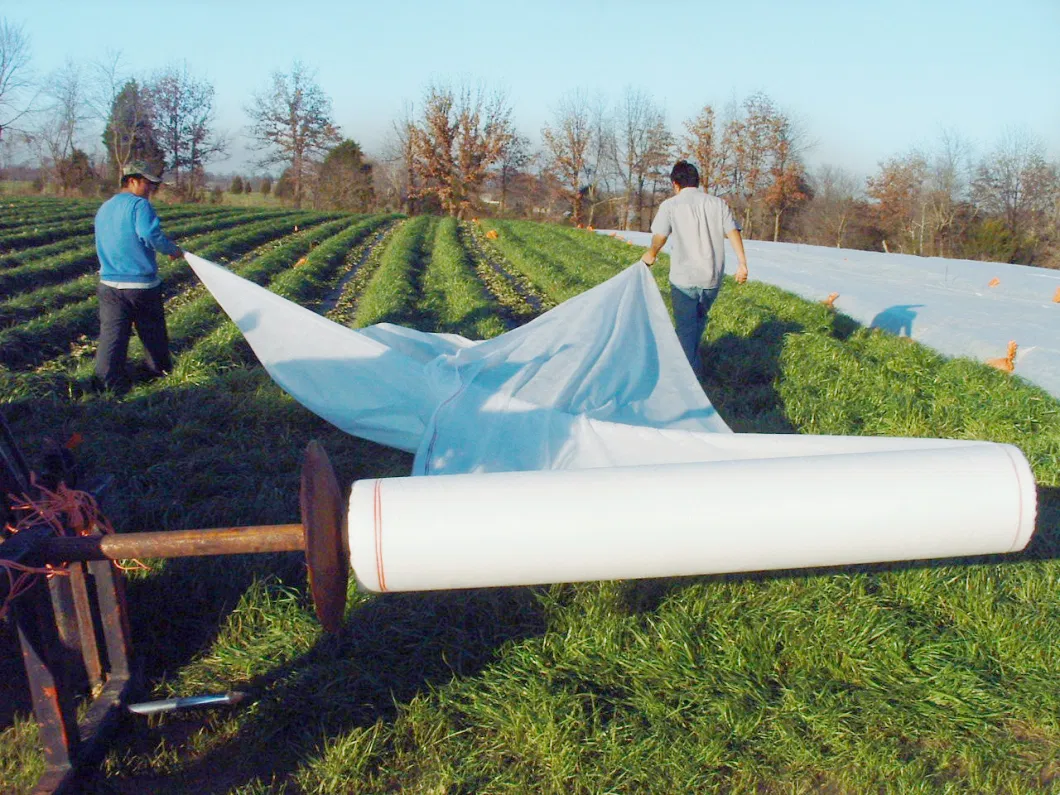 Agriculture UV Nonwoven PP Spunbond Nonwoven Fabric for Film/ Weed Control