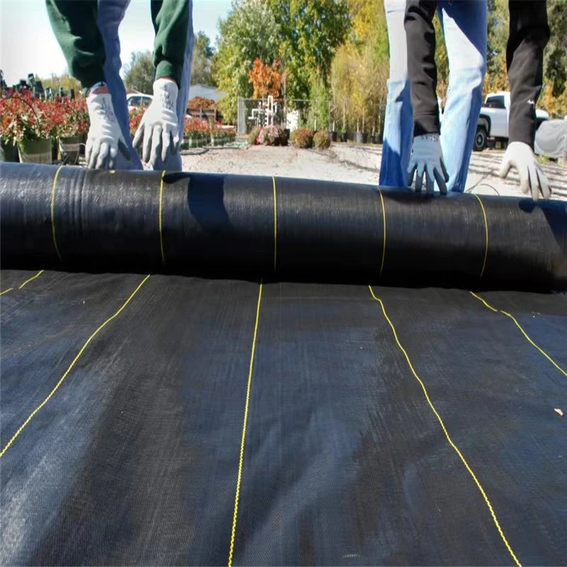 Wholesale Recyclable PP Woven Fabric Roll, 90 GSM Landscaping Fabric, Anti Grass Polypropylene Woven Cloth, Black Ground Cover, Weed Control Mat with Green Line