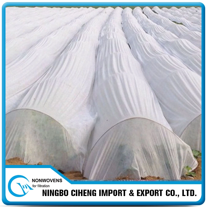 Geotextile Price Pet Polyester Spunbond Nonwoven Fabric for Agriculture
