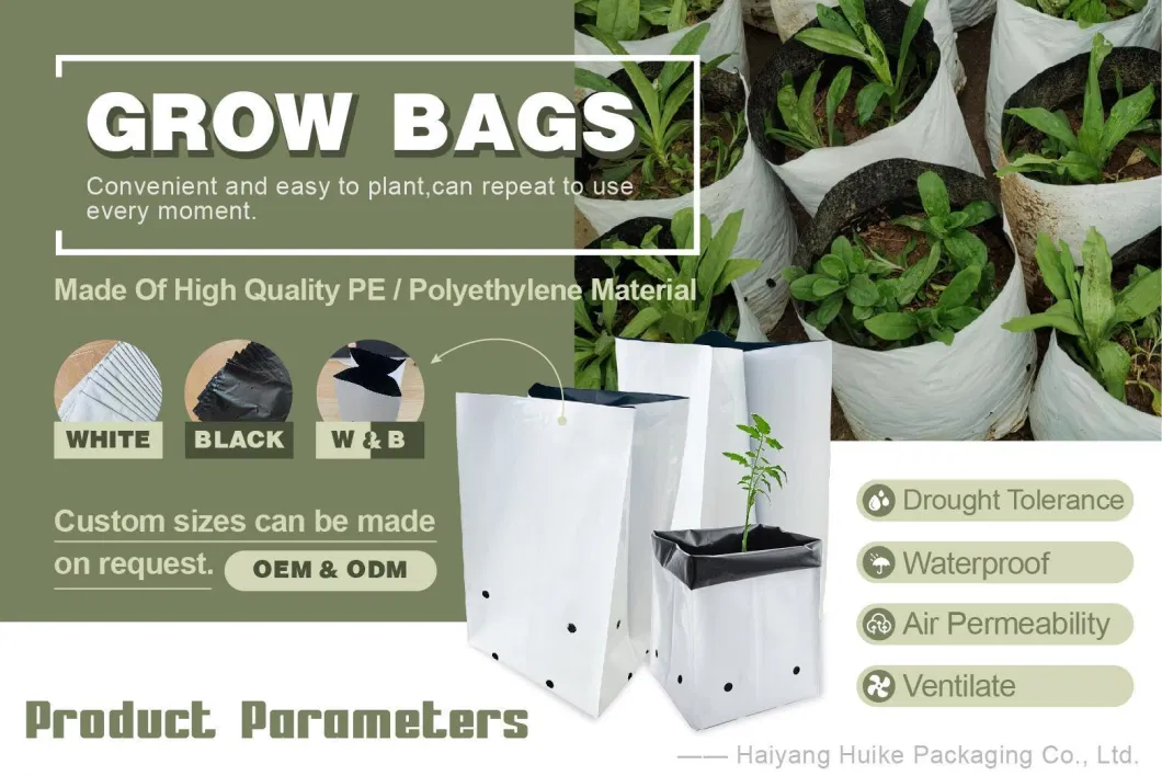 PE Polyethylene Perforated Planting Bag Plastic UV Protection Nursery Fruit Flower Grow Bags