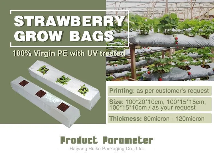 White Outside Black Panda Film Planting Plastic Seed Strawberry Nursery Grow Bags