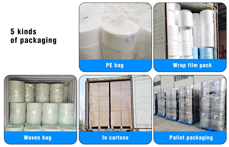 Eco-Friendly 100% Biodegradable PLA Spunbond Nonwoven Fabric for Agriculture Product