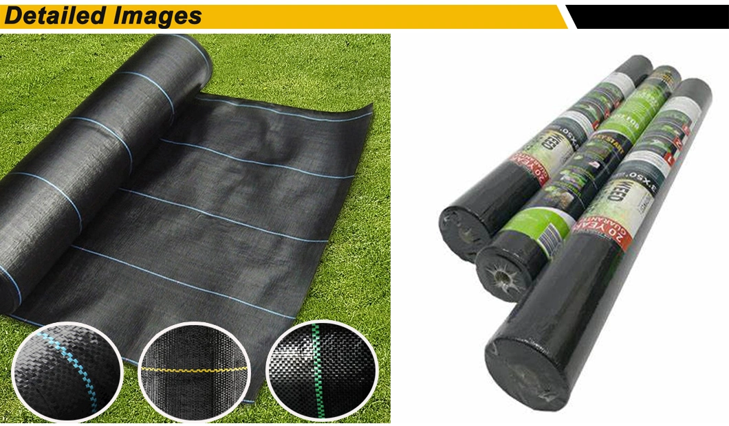 PP Woven Landscape Weed Control Fabric Weed for Greenhouse Ground Covering
