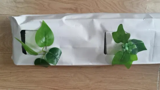 White Outside Black Panda Film Planting Plastic Seed Strawberry Nursery Grow Bags
